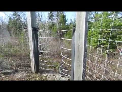 Deer Fence Gate in New Brunswick, Canada