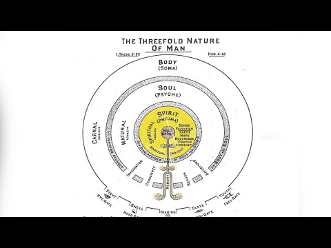 Gnostic Revelation Series: Soul Illumination