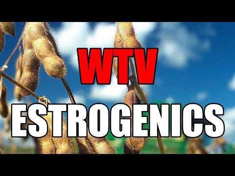 What You Need To Know About ESTROGENICS