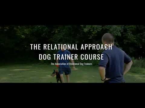 The Relational Approach Dog Trainer Course - Overview