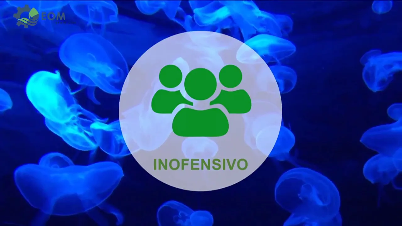 OSE II PANAMÁ
