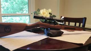 Ruger 10/22 take down Gallery of guns exclusive