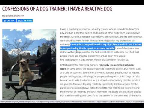 Confession of a Dog Behaviorist - Pervasive Hypocrisy of the Force Free Agenda - Flipping the Script