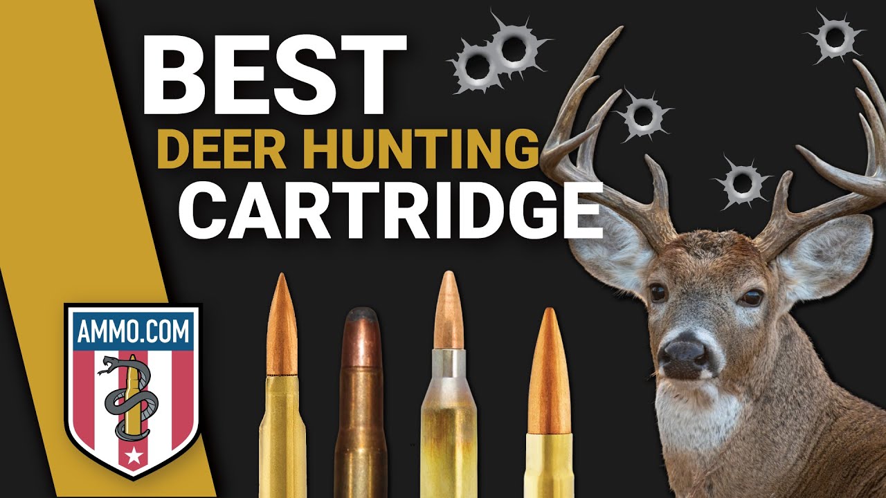 Top 10 Best Deer Hunting Cartridges To Put Bambi in The Freezer