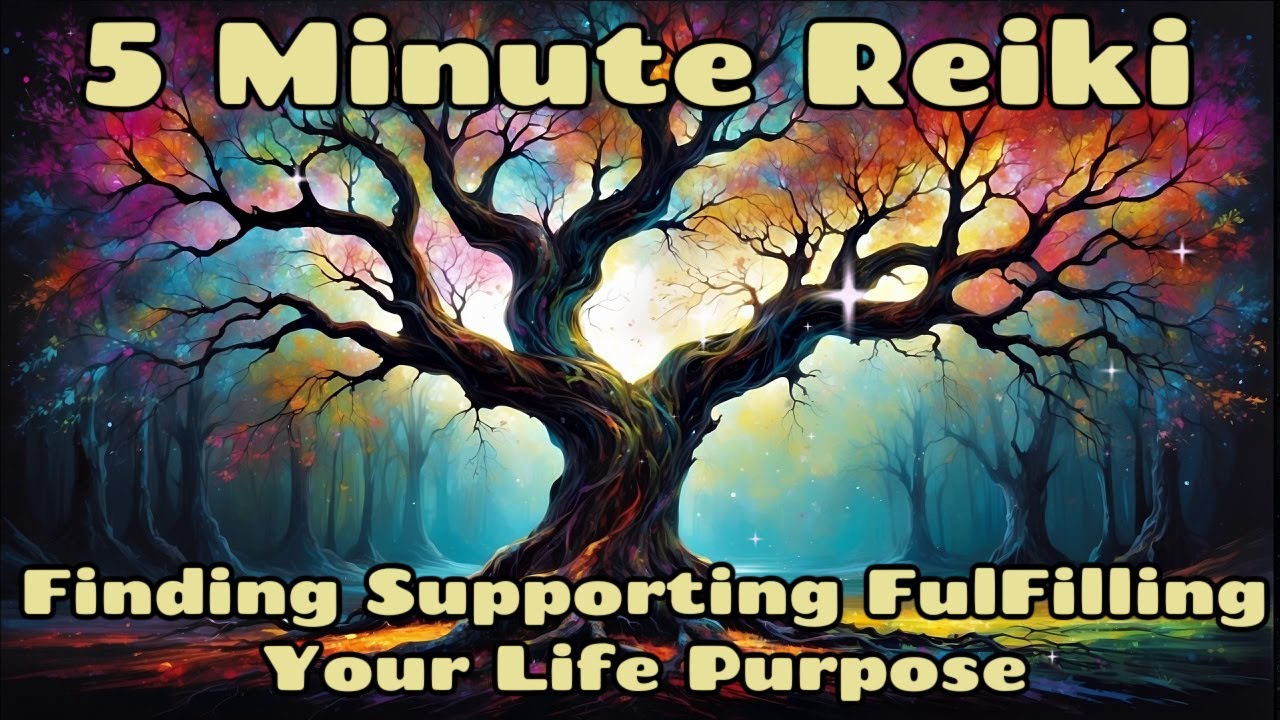 Reiki ✨Finding Supporting Fulfilling Life (Soul) Purpose✨ 5 Minute Session ✋💚🤚Healing Hands Series