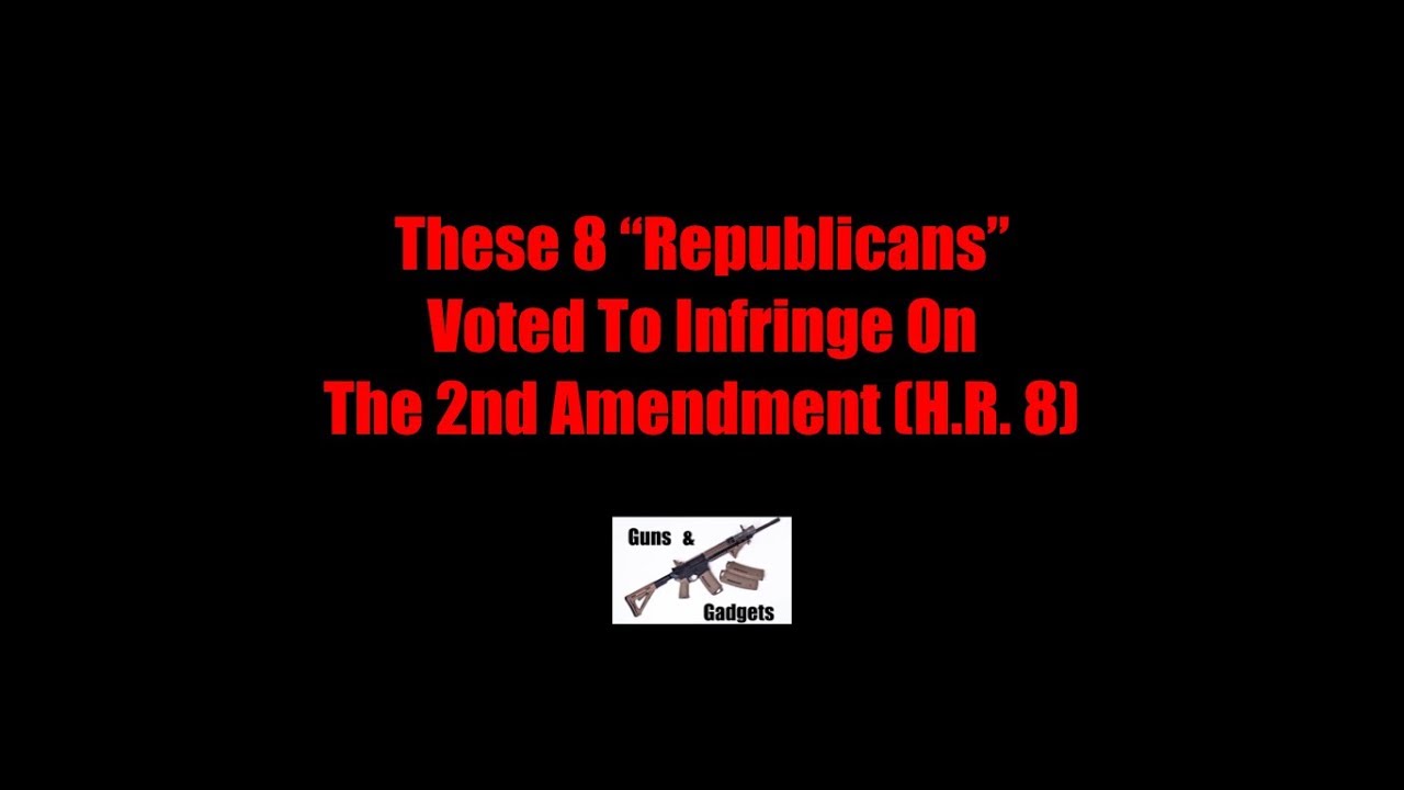 These 8 Republicans Voted To Infringe On The 2nd Amendment