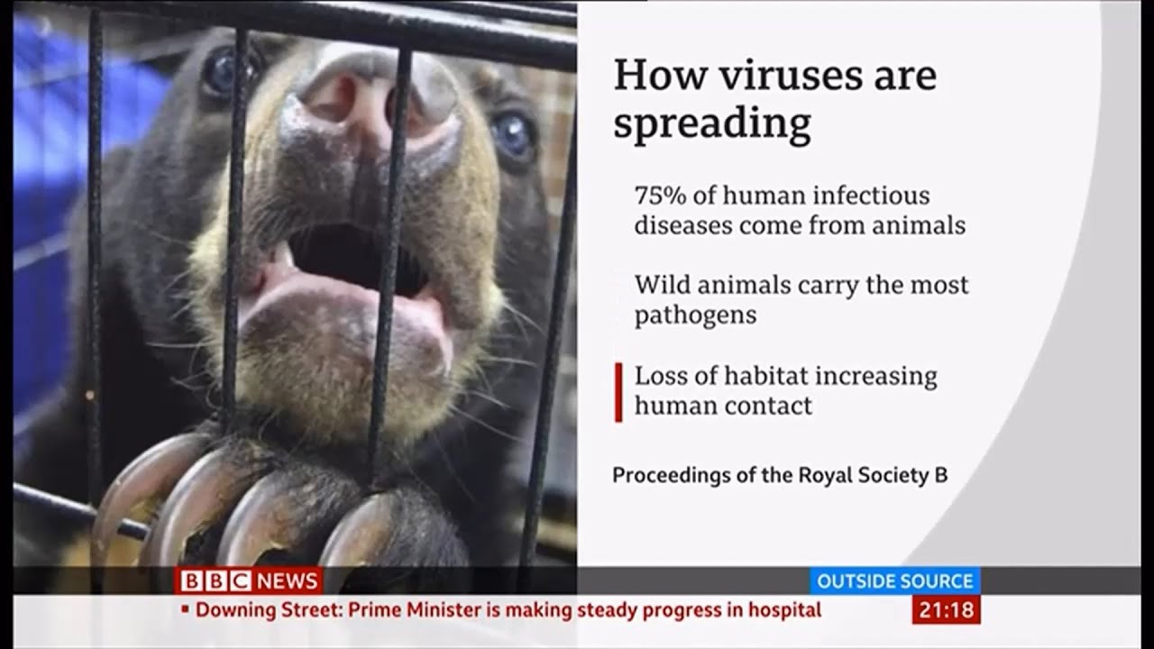 Coronavirus (Covid-19) Spreading the virus study (Global) - BBC News - 8th April 2020