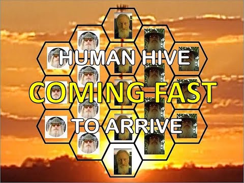 The Hive is Coming Fast - Don't Be Borged