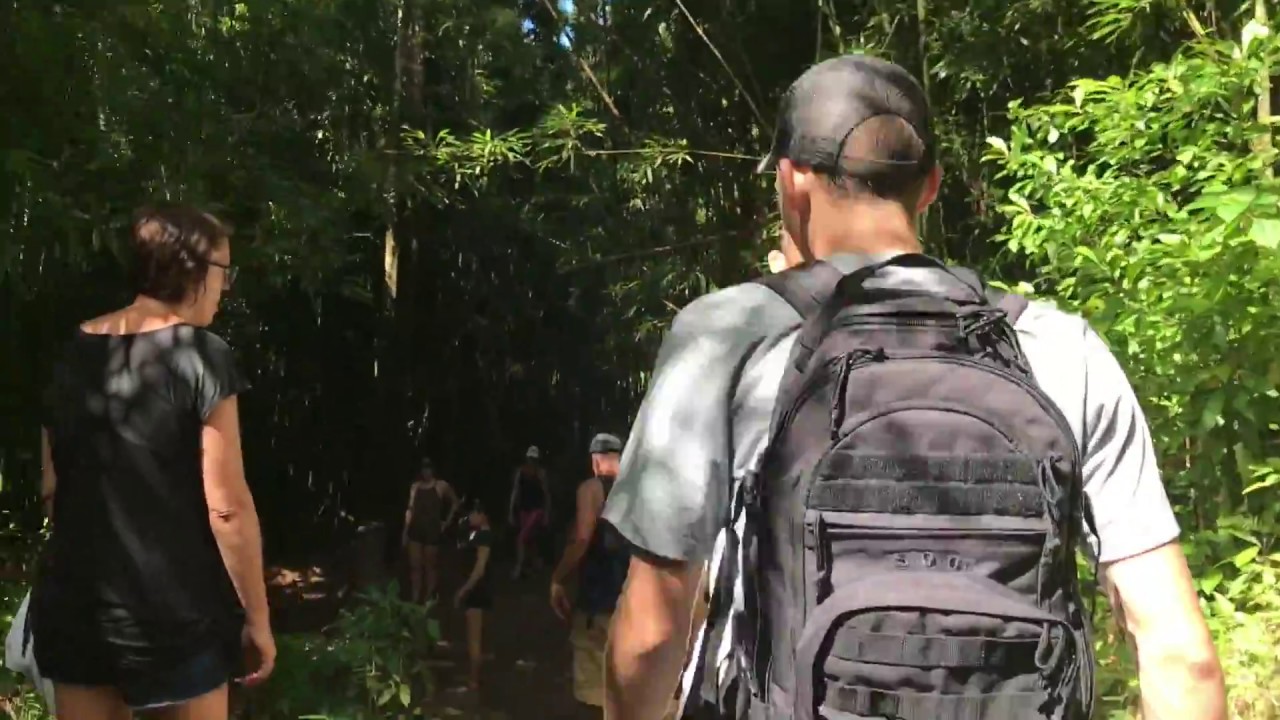 Manoa Falls Hike (Awesome Waterfall)