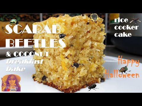 EASY RICE COOKER CAKE RECIPES:  SCARAB BEETLES (passion fruit) & Coconut Breakfast Bake