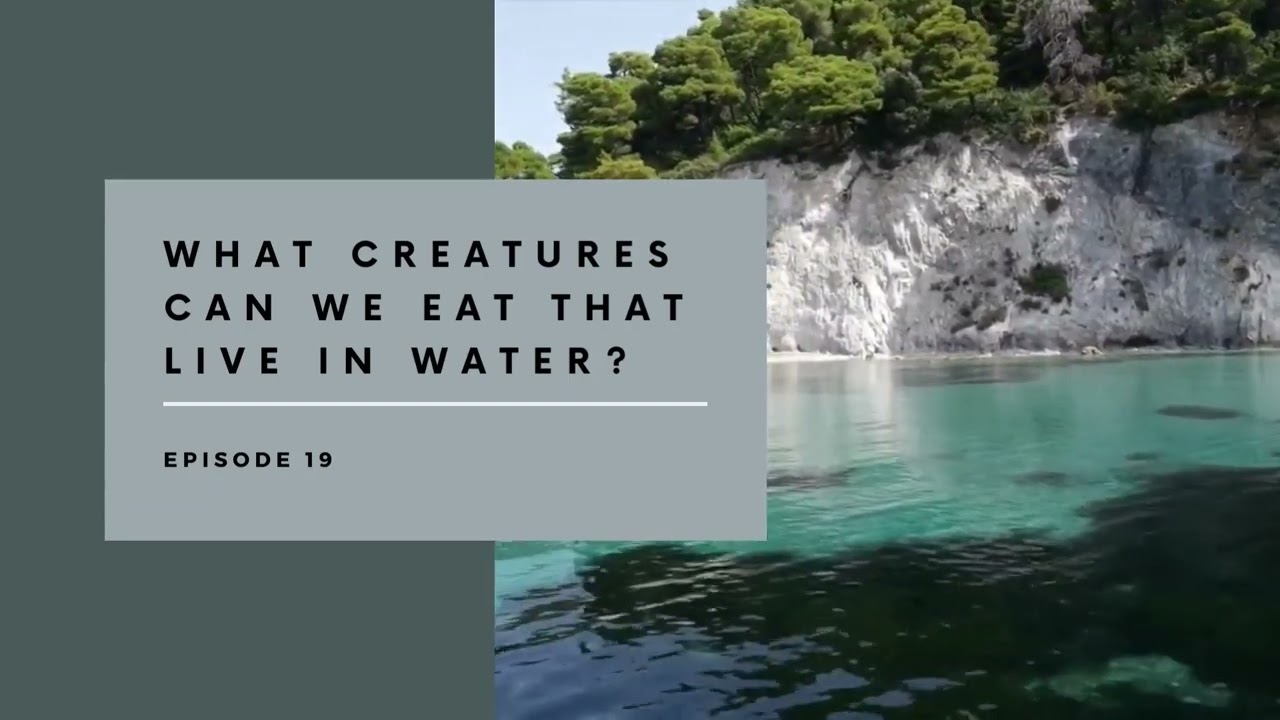 Episode 19 What Creatures Can We Eat That Live In Water?