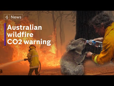 Australian wildfires released more CO2 than annual emissions of Germany, say scientists