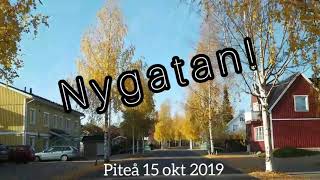 Fall Colors Pitea Sweden October