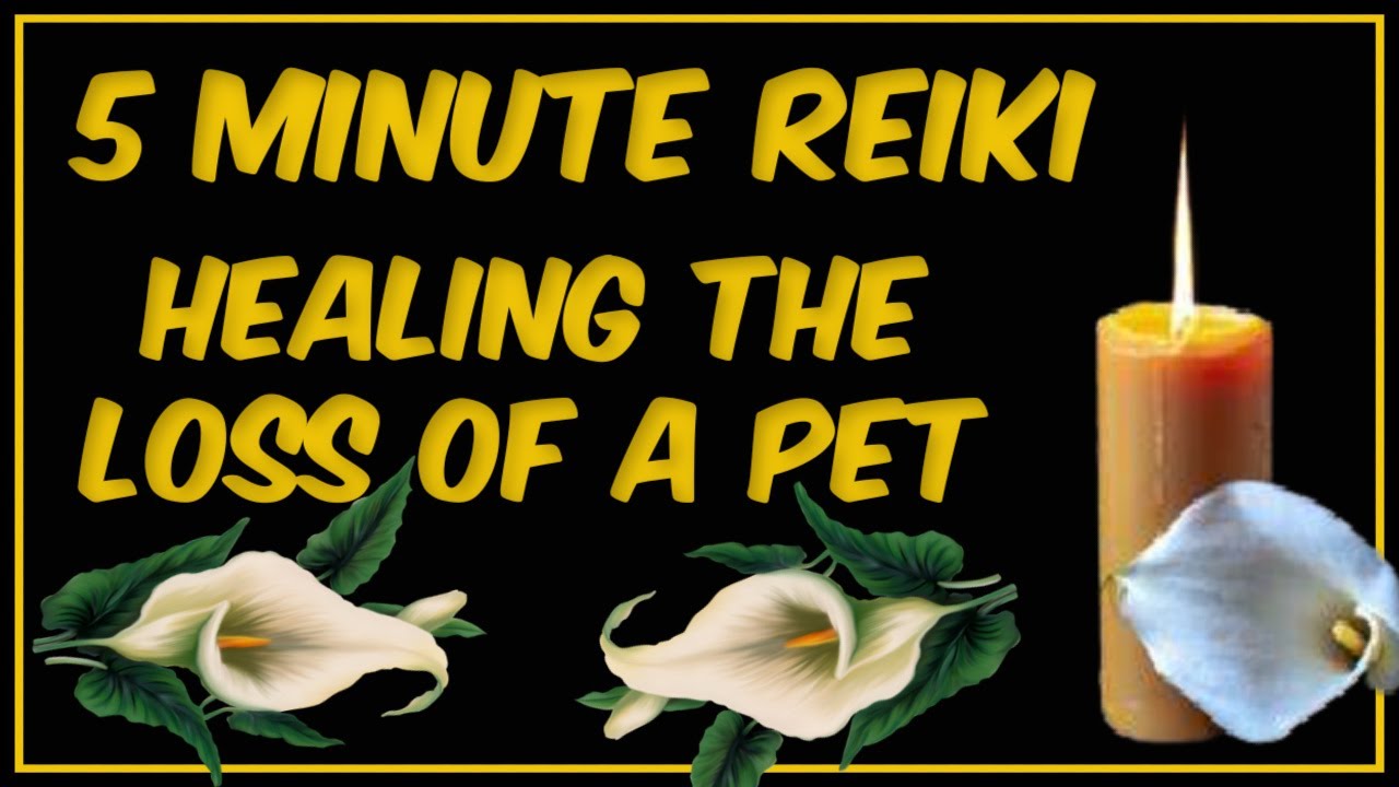 Reiki Healing From The Loss Of A Pet l 5 Minute Session l Healing Hands Series