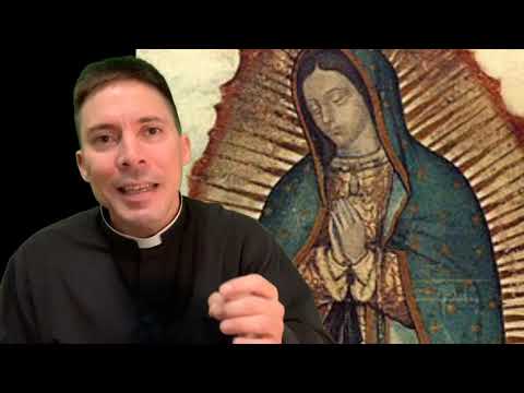 Our Lady of Guadalupe & STUPID CATHOLICS! - Fr. Mark Goring, CC
