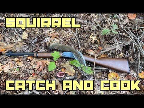 Squirrel Hunt Catch And Cook.