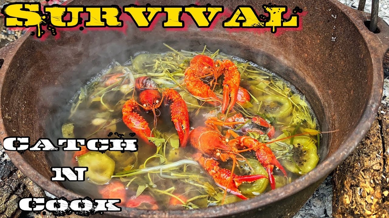 Catch N Cook Crawfish Mudbugs Food Source during SHTF