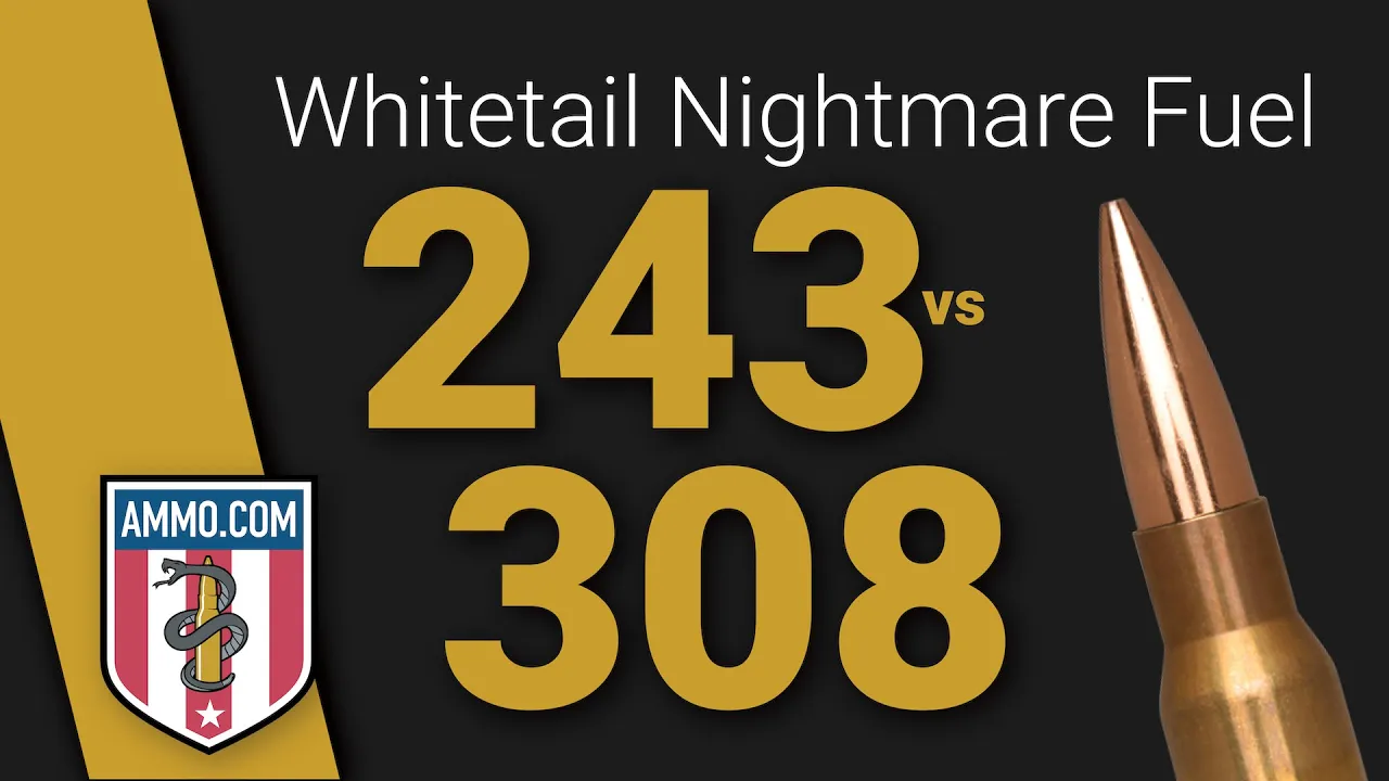 243 vs 308: Whitetail Nightmare Fuel