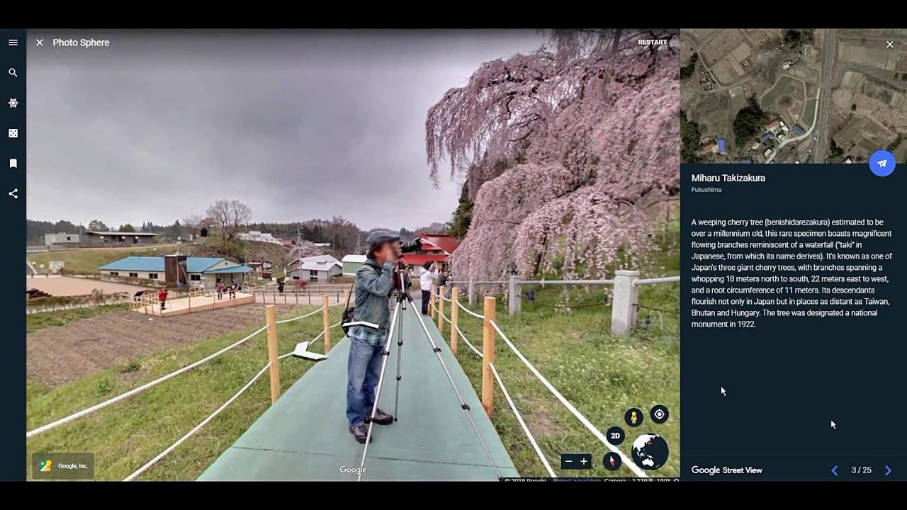 25 Places You Can See Japanese Cherry Trees in Full Bloom