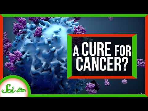 Scientists May Have Found a Way to Treat All Cancers... By Accident | SciShow News