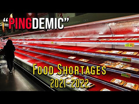 "On The Edge of Failing" | Food Shortages 2021