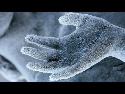 SHOCKING VIDEO! WHY DID HUMANS, TURTLES, & CREATURES ALL JUST FREEZE TO DEATH, 2021