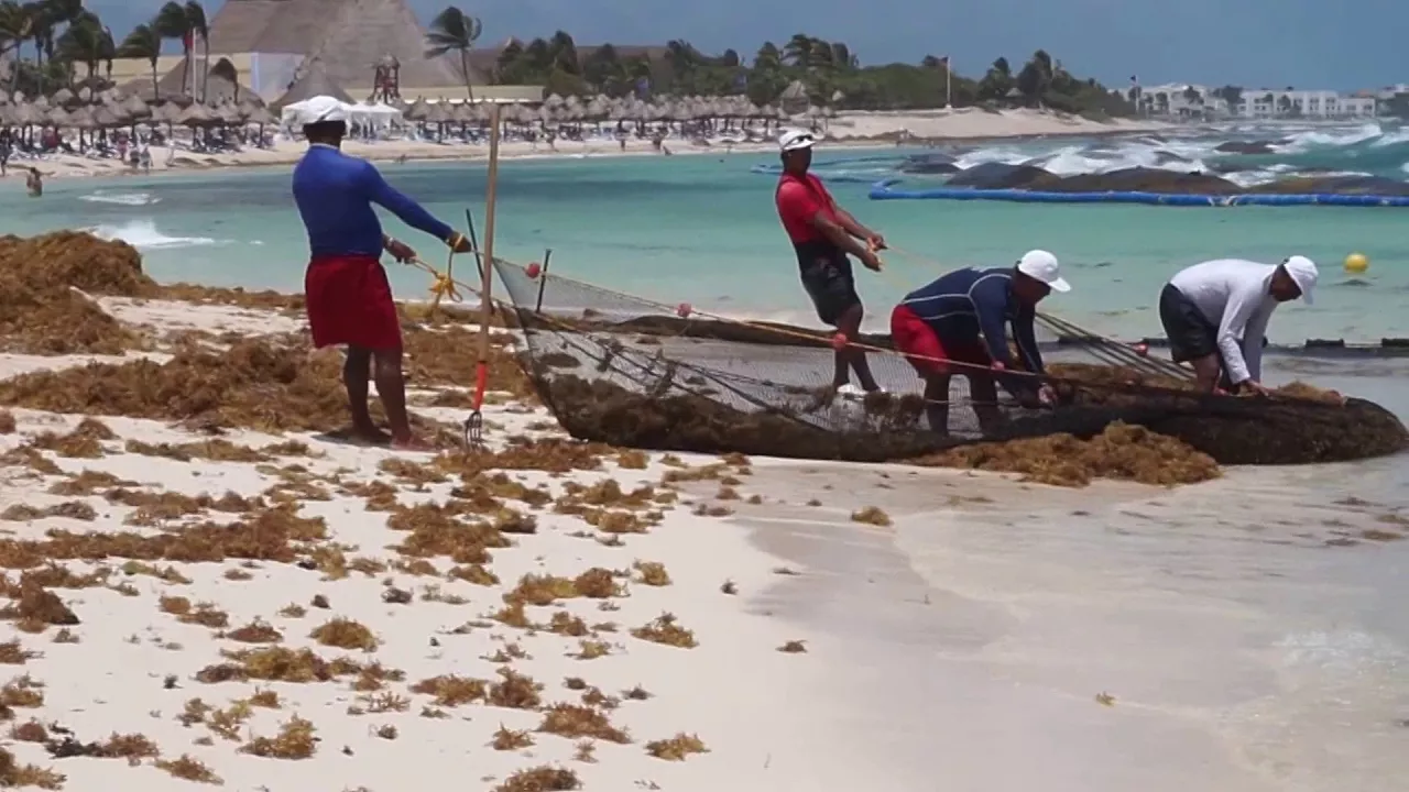 mexican fishermen