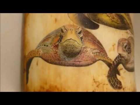 Scrimshaw Steps by Adams - Sea Turtles