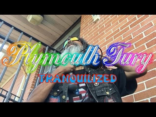 Plymouth Fury - Tranquilized [Sex Oven Cover]