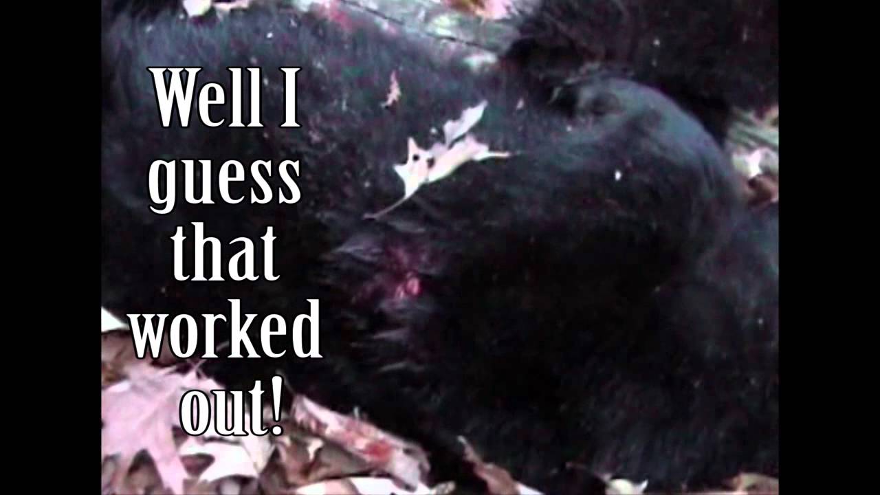 Greatest Hunting Hits With 21 Killl Shots