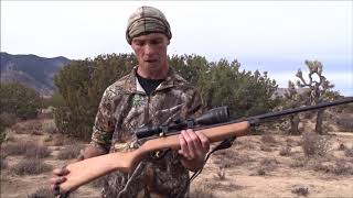 Airgun Hunting with the Beeman QB78 (Hunting on a Budget #1)