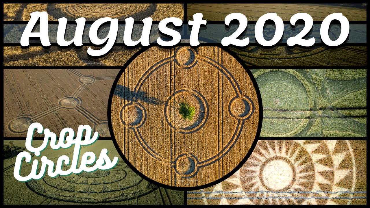August 2020 Was a Magical Month For Crop Circles