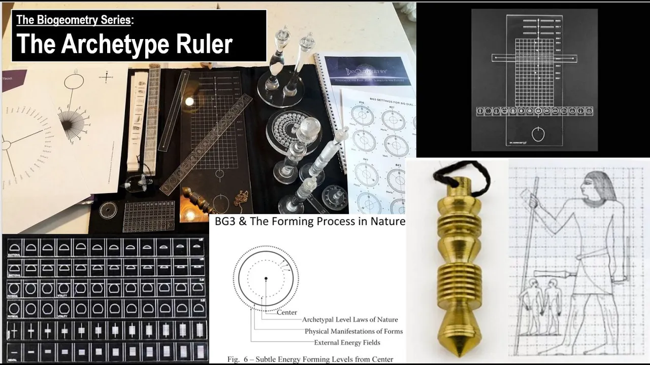 303 Biogeometry  The Archetype Ruler