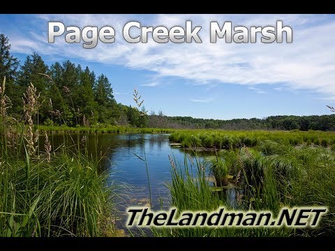 Page Creek Marsh State Natural Area Hiking Trails Central Wisconsin