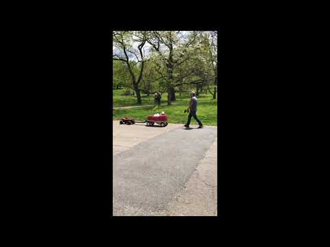 Man Spotted Using RC Car to Pull Child in Wagon