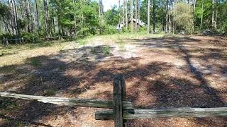 EARLIEST AMERICAN HISTORY  (MOUND PEOPLE)