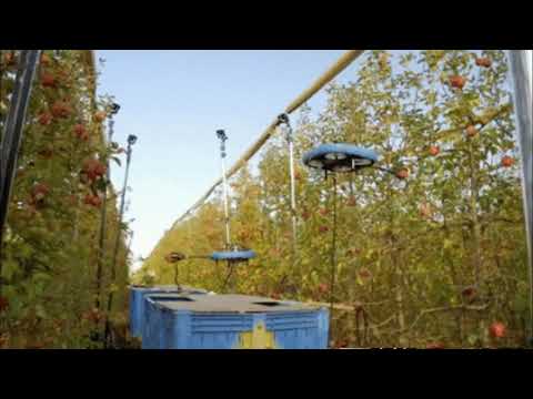 Human Workers to Be Replaced by Flying-Robot-Harvester That Picks Ripe Fruit