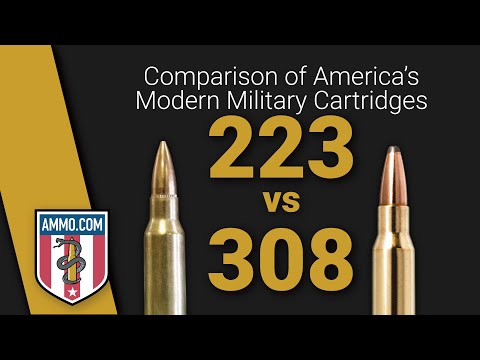 223 vs 308: Best SHTF Rifle Cartridge