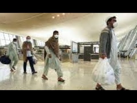 700+ AFGHANS WALK OFF MIL BASES WITHOUT COMPLETE VETTING! SCHELLER CRAPS ALL OVER THE TRUMPS +NEWS