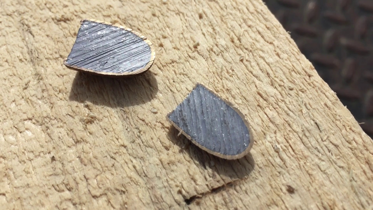 Wood Miser cuts .45 ACP Bullet in half in Tree