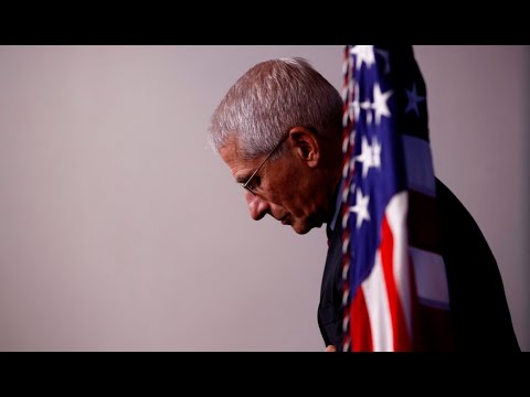 'Saint' Fauci's halo tarnished as email leaks land 'huge blow' to his credibility