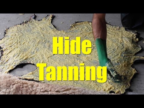 Alum Tanning Lamb Hides