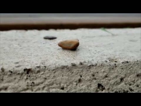 Pebble Off A Ledge