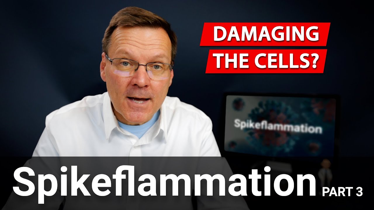 Spikeflammation // How the spike protein damages the cell