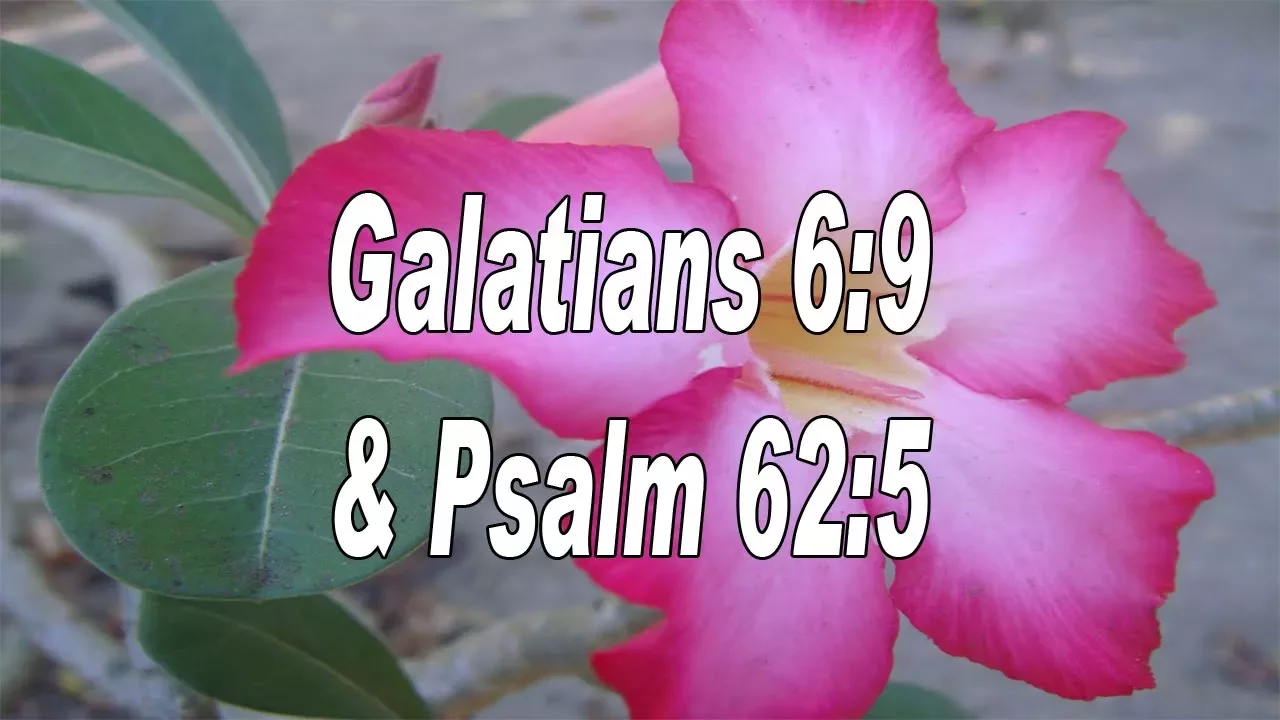 Scripture song Galatians 6:9 and Psalm 62:5 let us not be weary in well doing