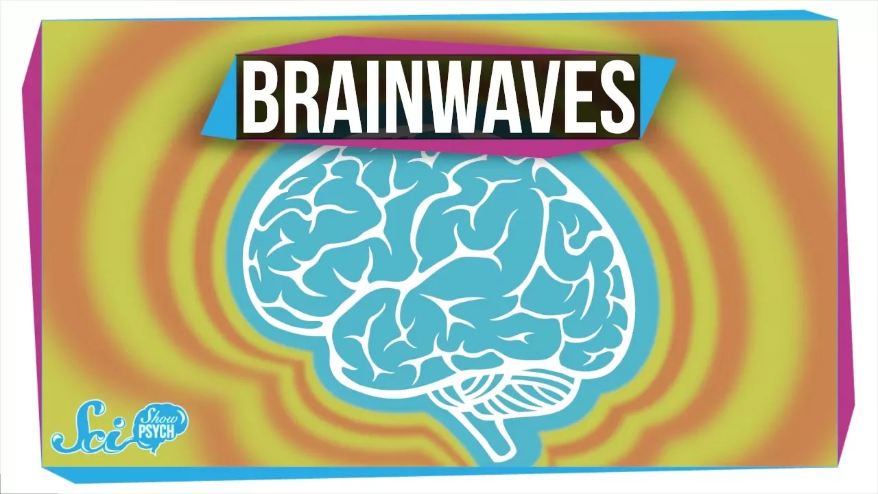 what-do-different-brainwaves-mean