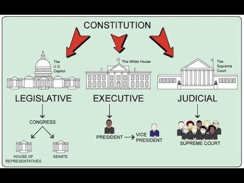 The Wednesday Show - 3 Branches of Government
