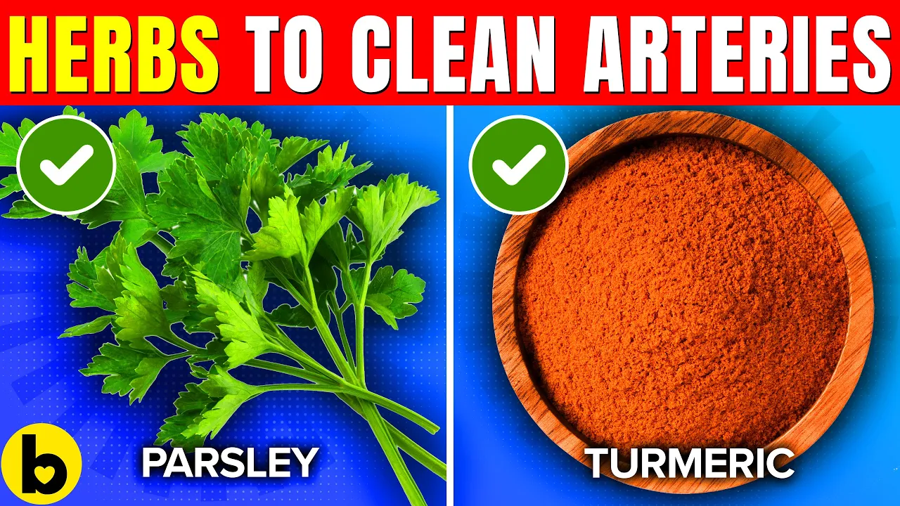 Top 17 Herbs To Clean Arteries And Prevent Heart Attacks