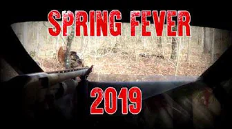 Sprig Fever Turkey Hunt 2019 part 2: Big Gobbler CLOSE!