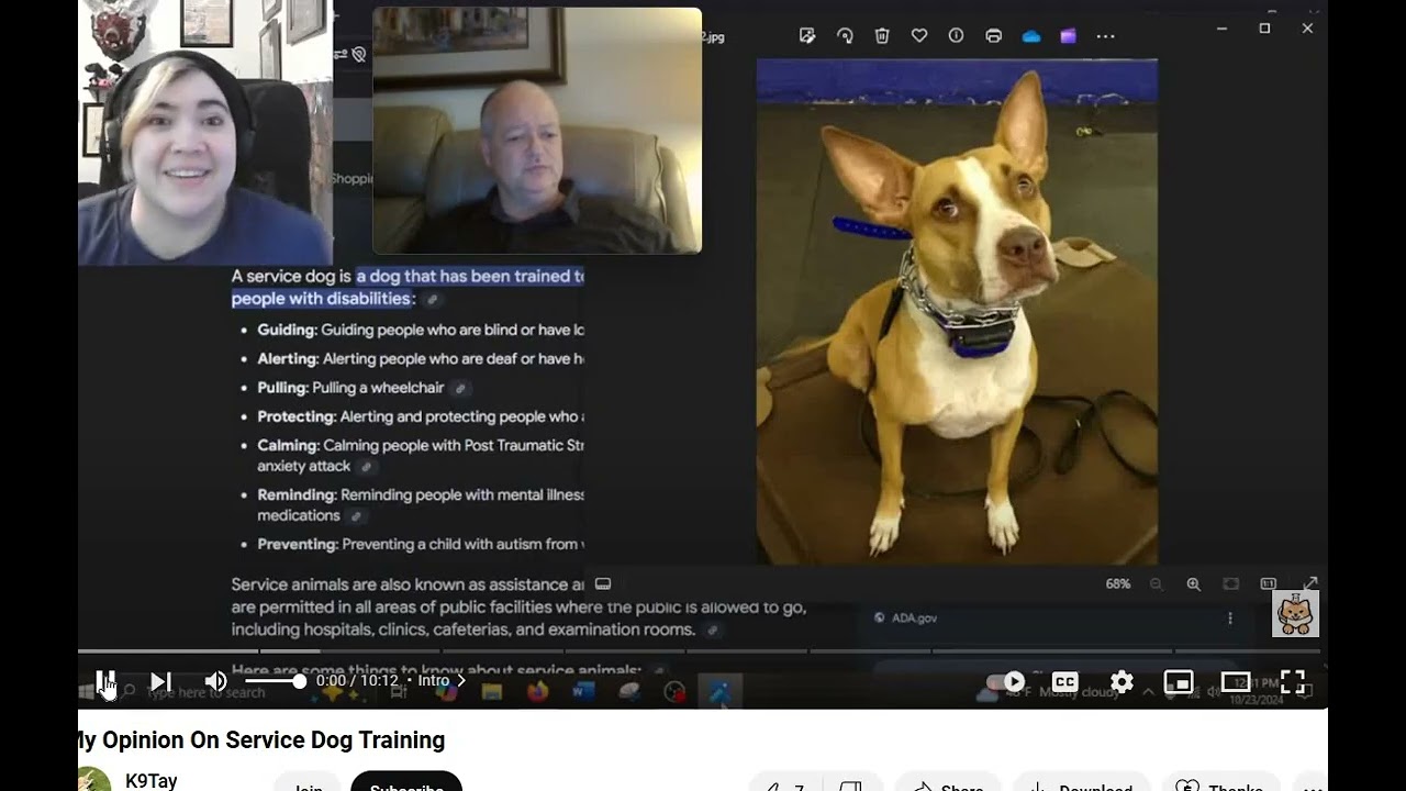 K9 Tay - Responding to the Bribery based Talking Points regarding Service Dog Training - Pt 1